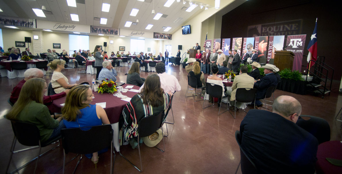 Auditorium Banquet-Dinner