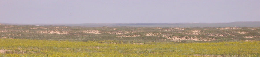 Mescalero Sands