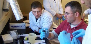 People working together in a lab