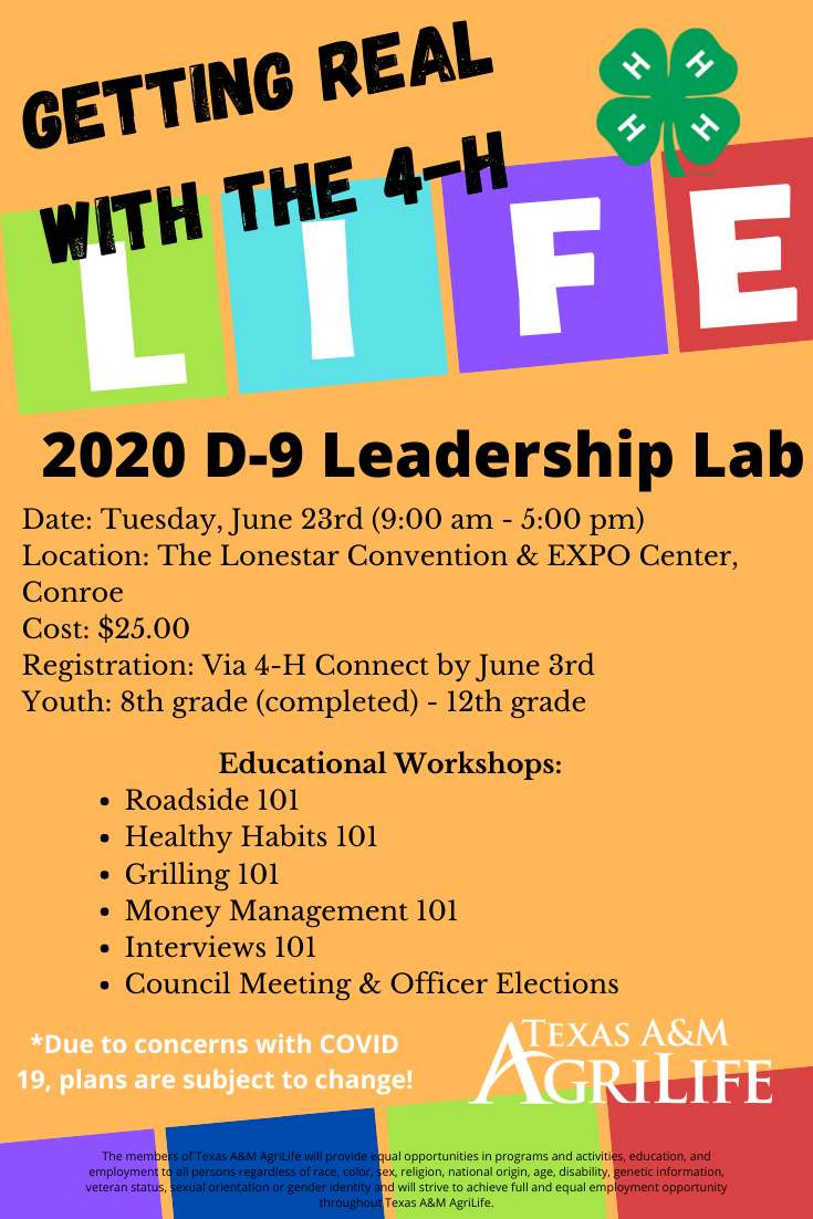 Leader Lab 2020