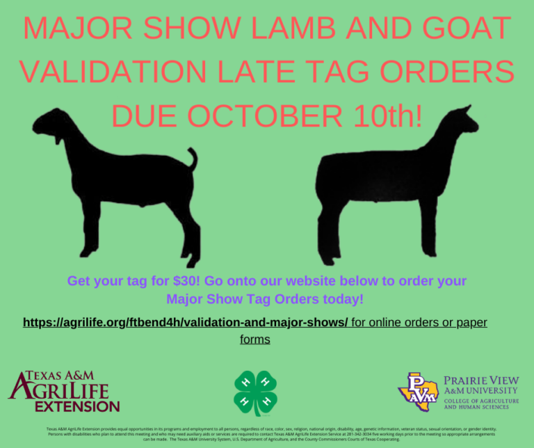 Major Show Lamb and Goat Tag Orders (1)