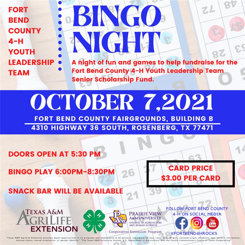 Bingo Night