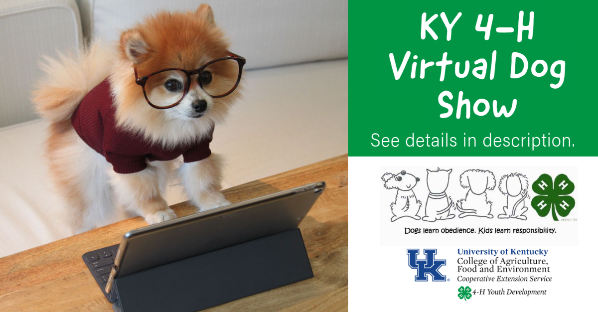 KY Virtual Dog Show