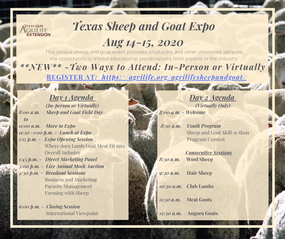 Sheep and Goat Expo