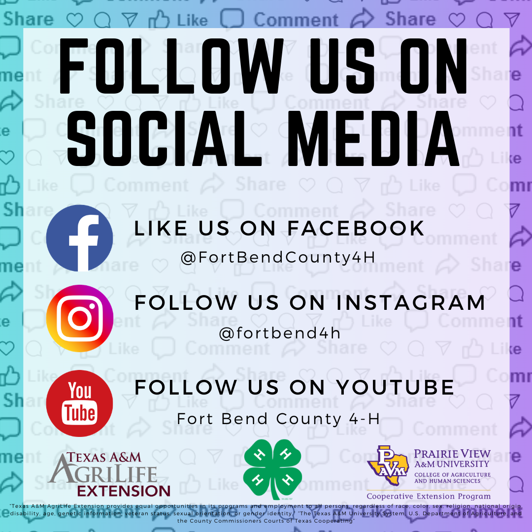 Social Media Platforms | Fort Bend 4-H