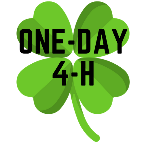 One Day 4-H