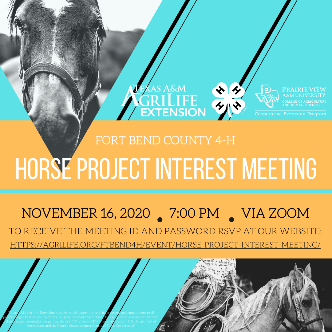 Horse Project Interest Meeting