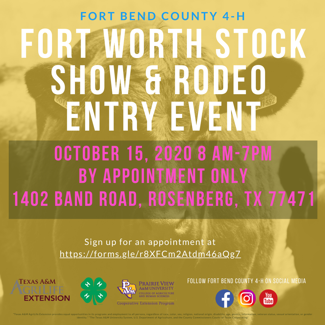 Fort Worth Major Show Entry Night