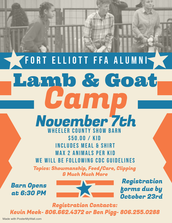 Lamb and Goat Camp