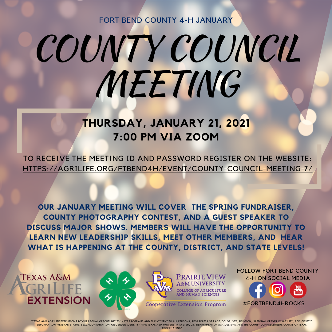 January County Council Meeting