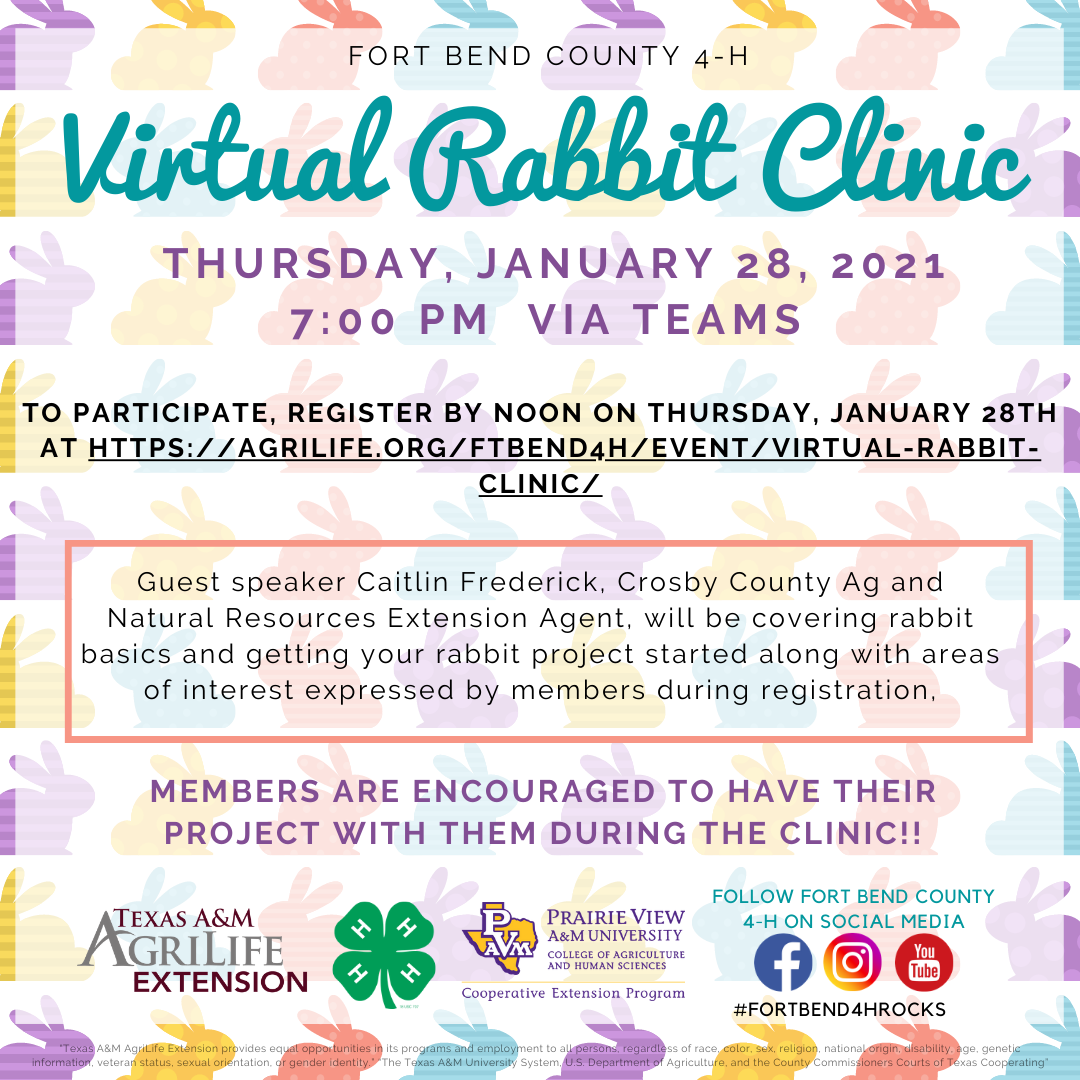 Virtual Rabbit Clinic