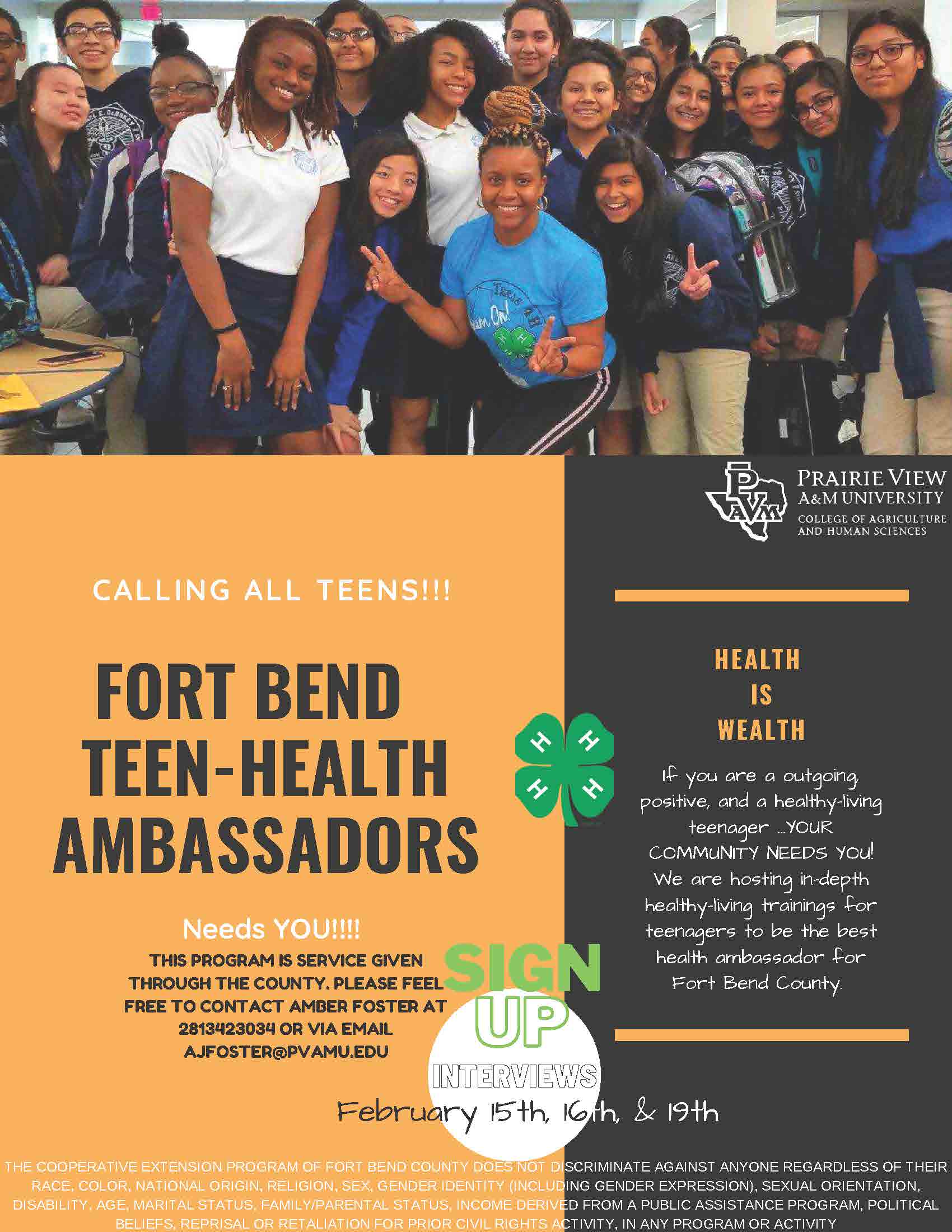 Health Ambassadors flyer