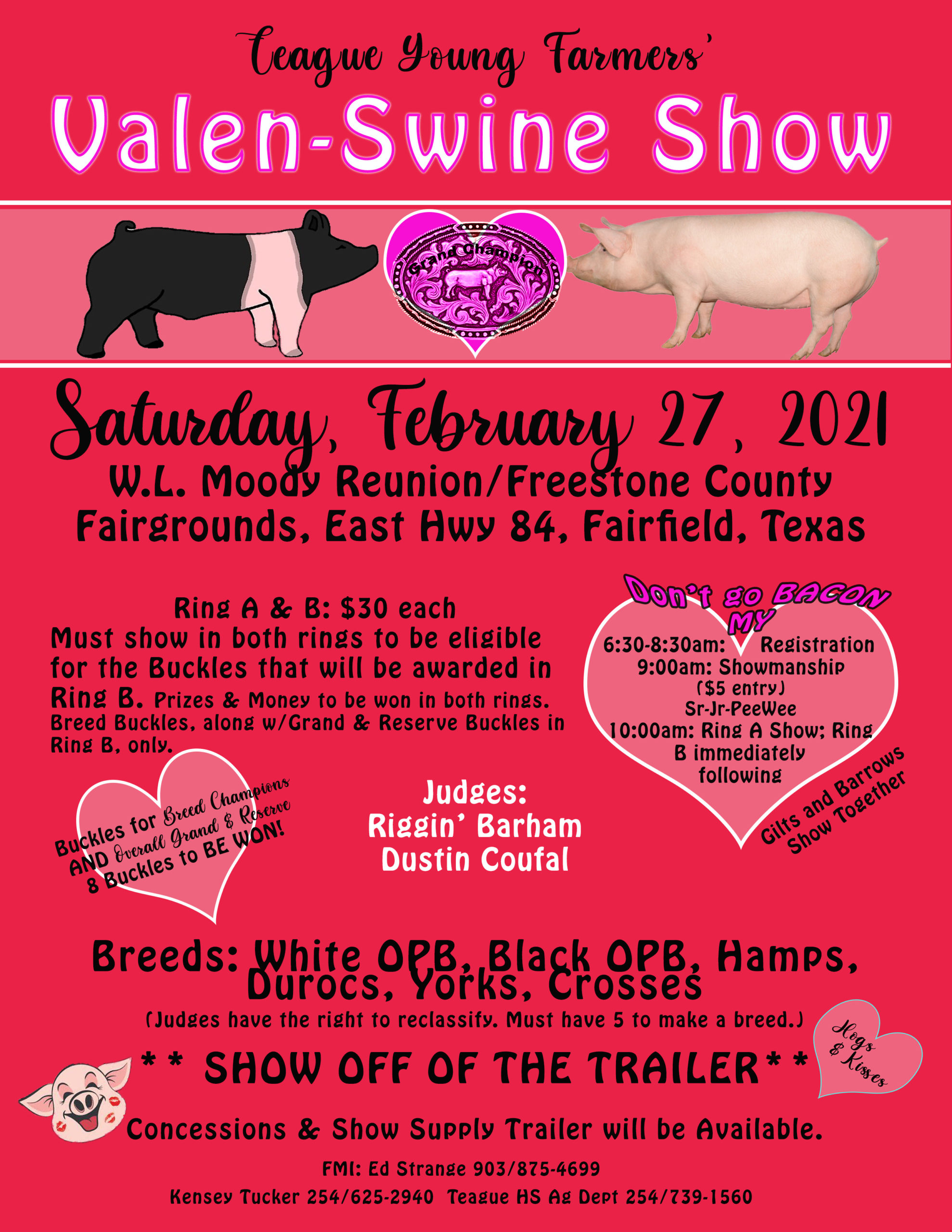 Teague YF Valenswine Jackpot Show
