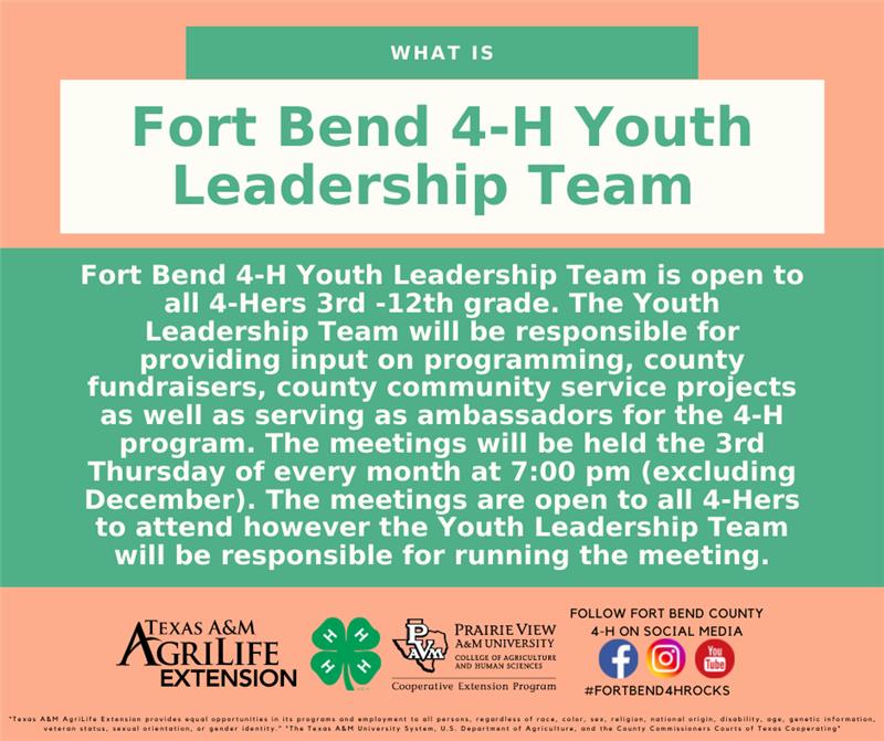 Youth Leadership Team Info