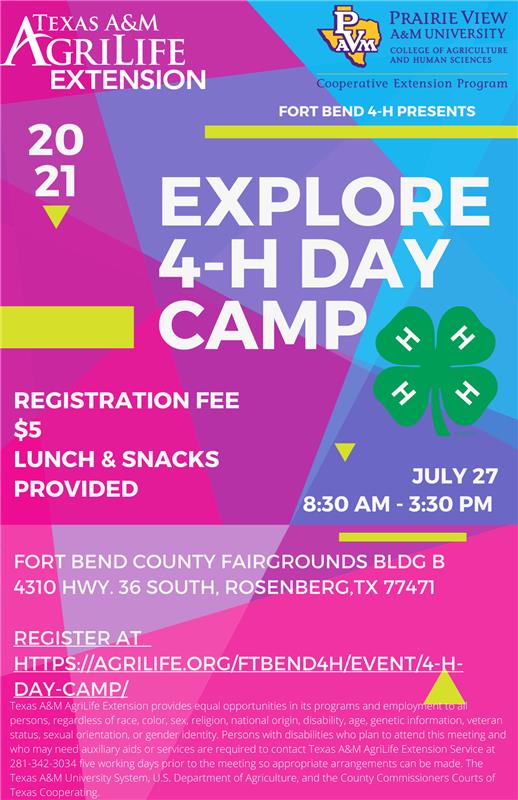 Day Camp