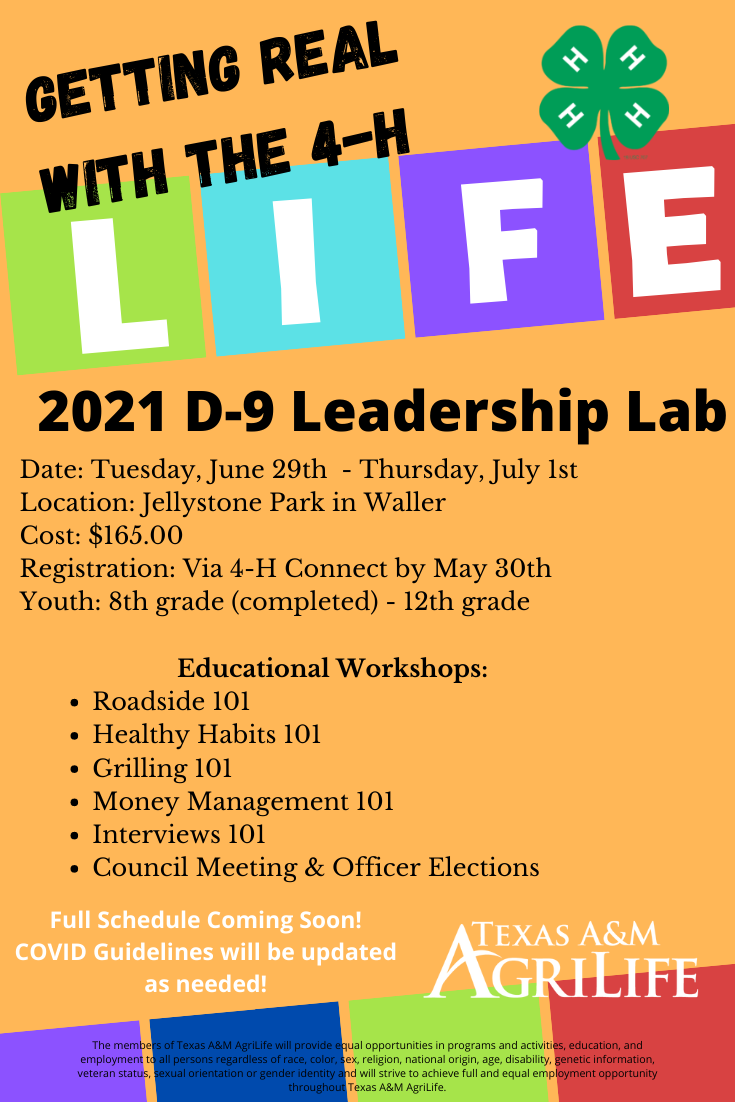 Leadership Lab