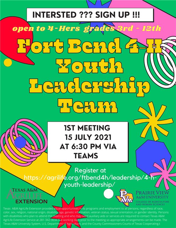 Youth Leadership Team