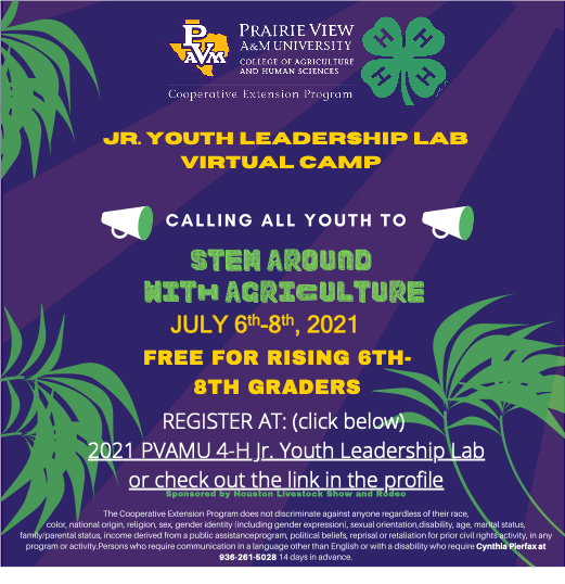 Youth Lab