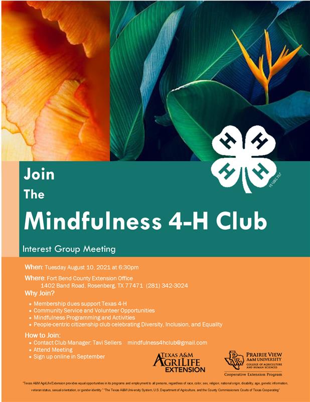 Mindfulness Interest Meeting