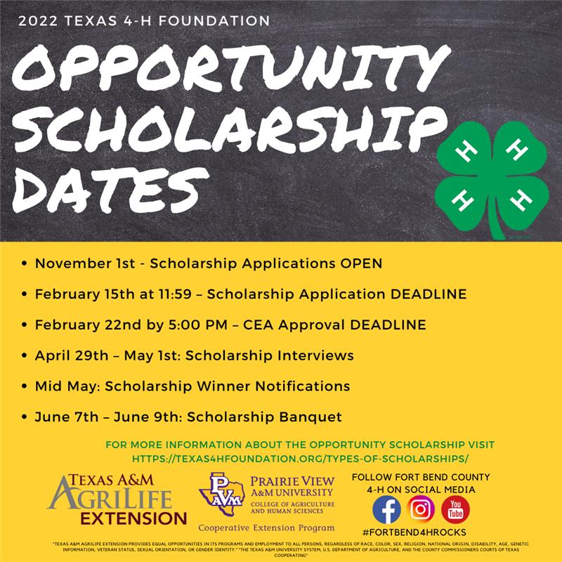 4-H Opportunity Scholarship