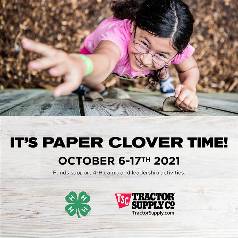 TSC Paper Clover