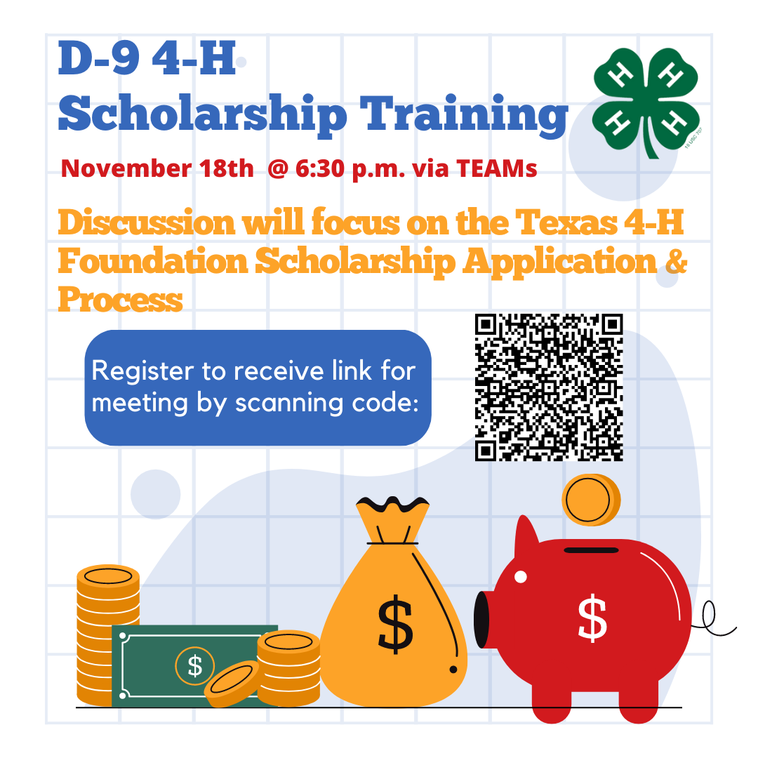 Scholarship Training