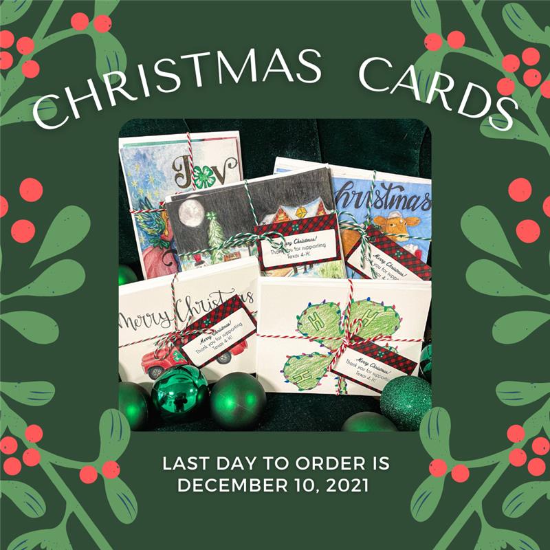 Christmas Card Sales Last Day!