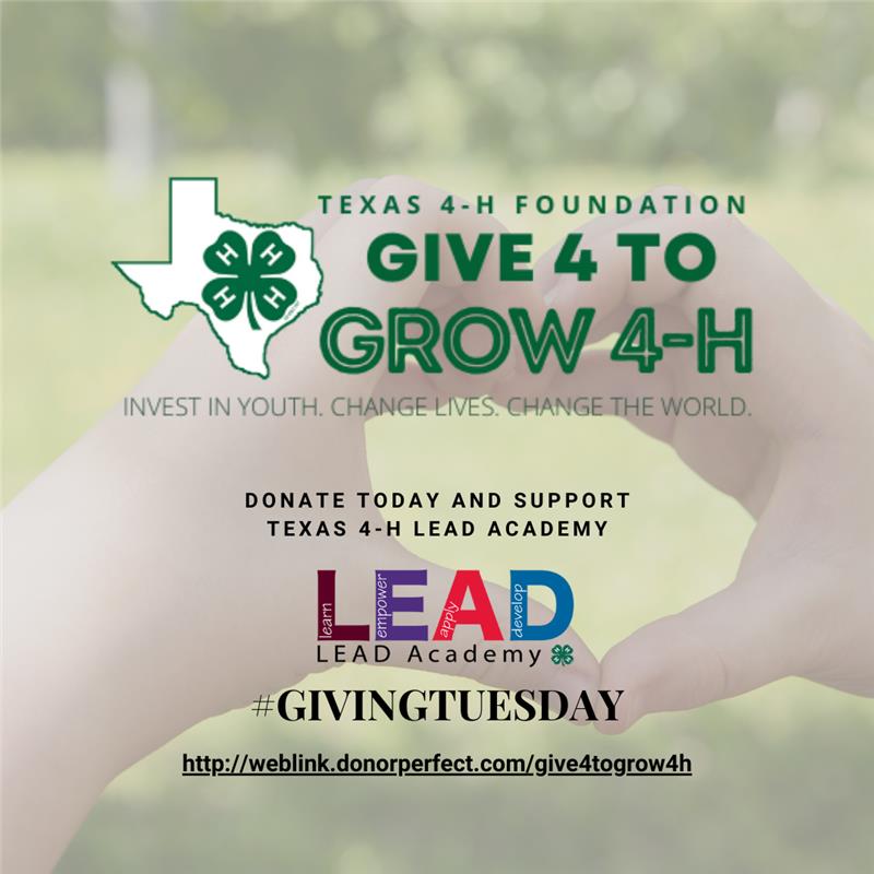 Give 4 to Grow 4-H