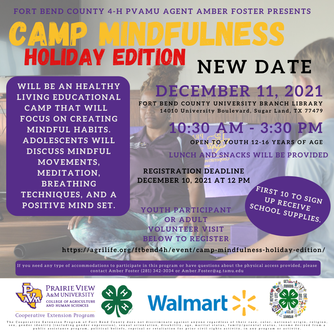 2021 Camp Mindfulness Holiday Edition