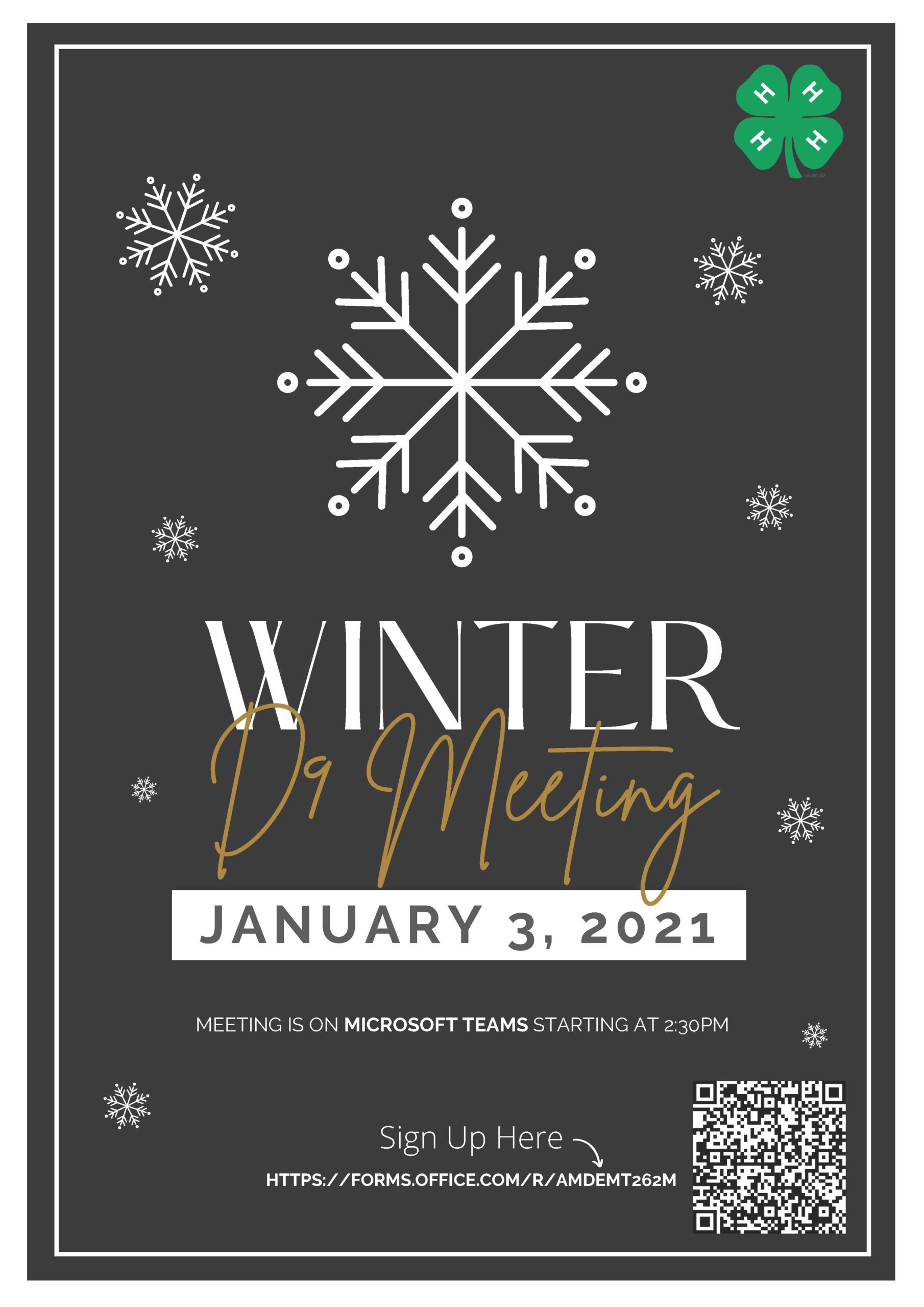 D9 Winter Council Flyer