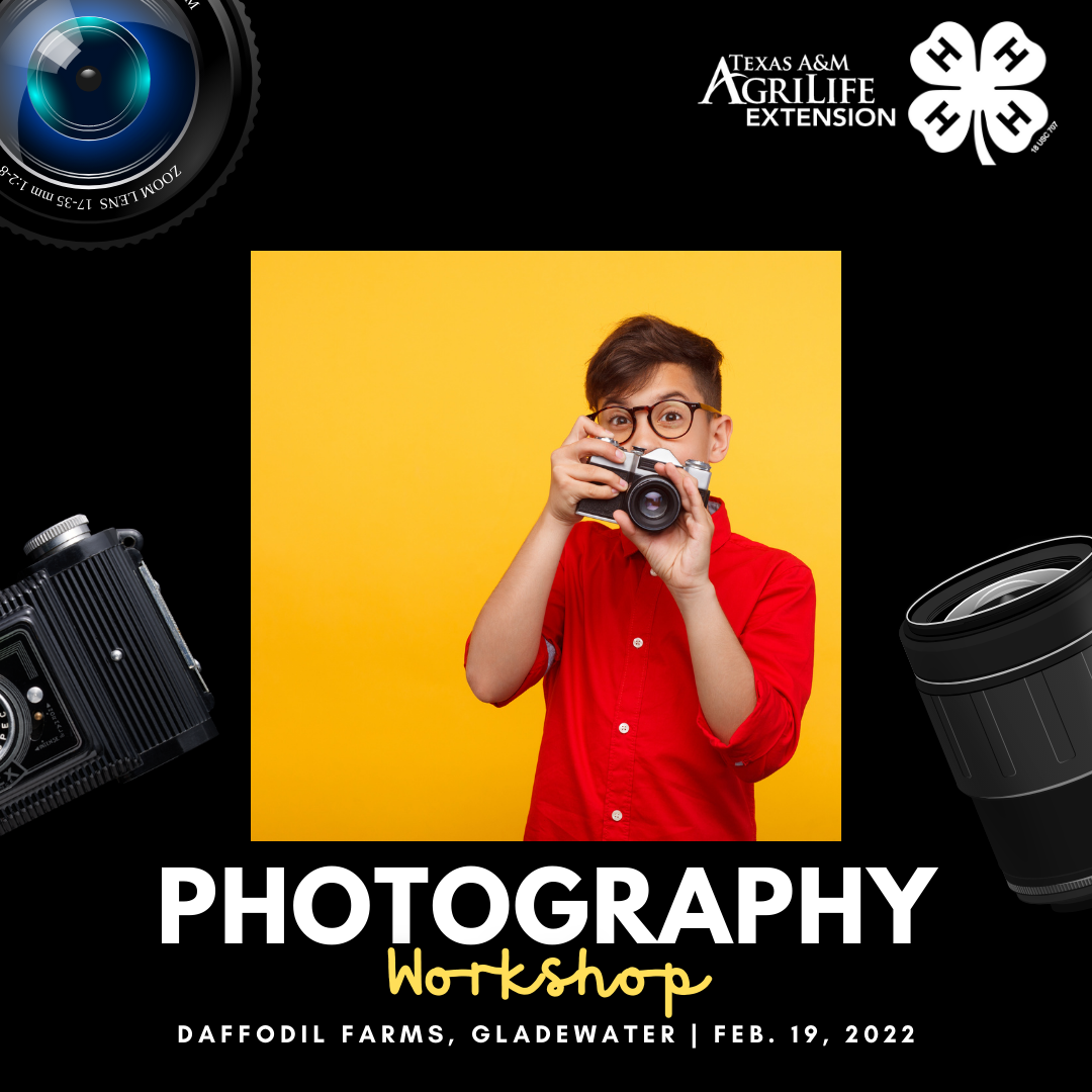 Photography Workshop Feb