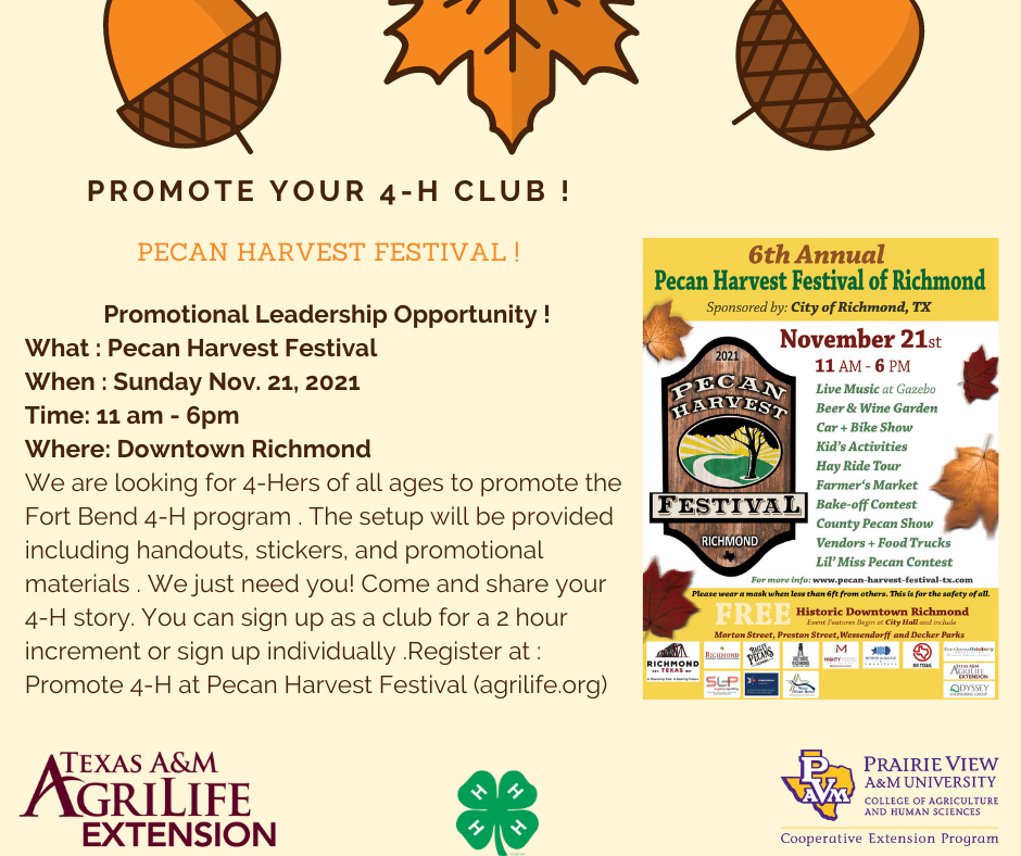 Promote Your 4-H Club Pecan Harvest Fest