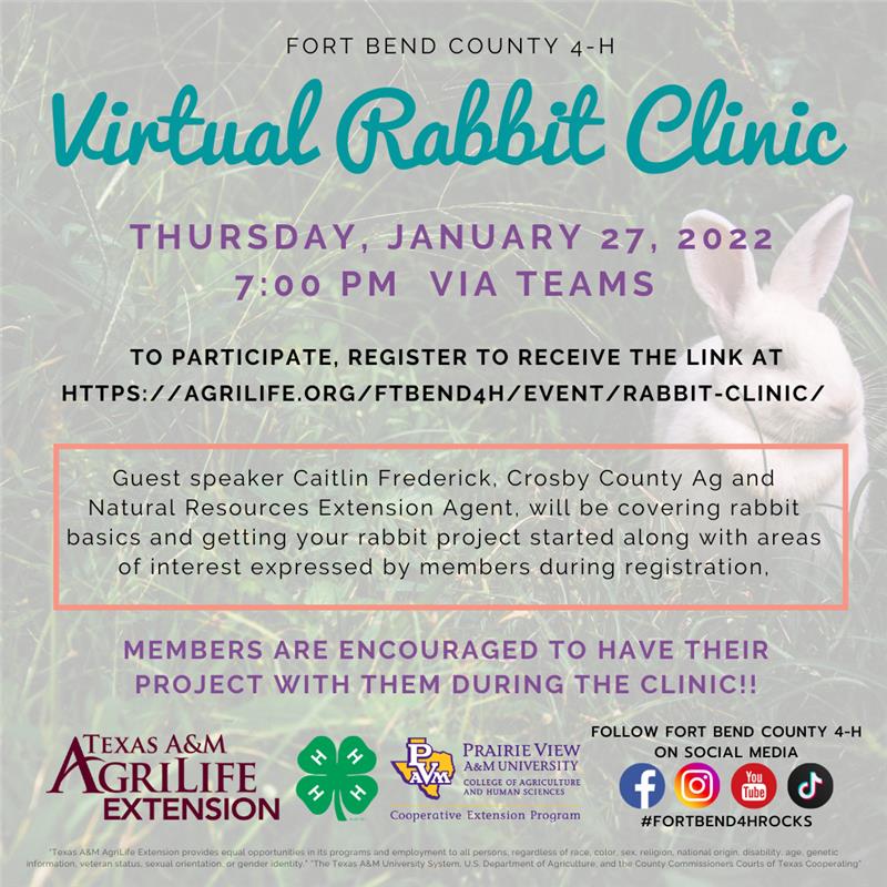 Virtual Rabbit Clinic