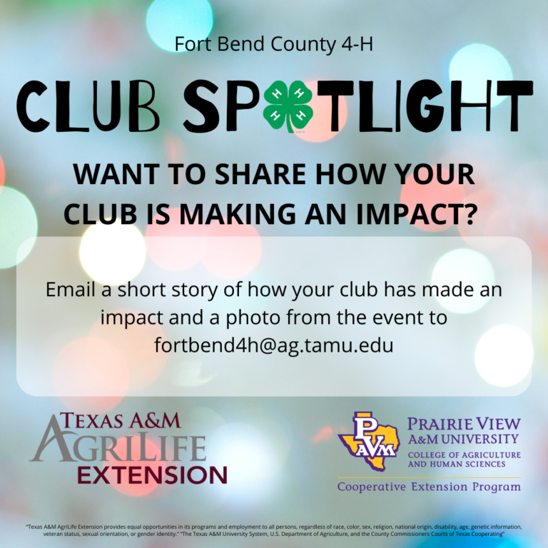 Club Spotlight(2)