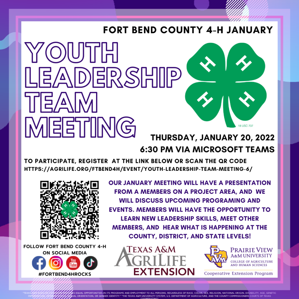 January 2021 Youth Leadership Team Meeting