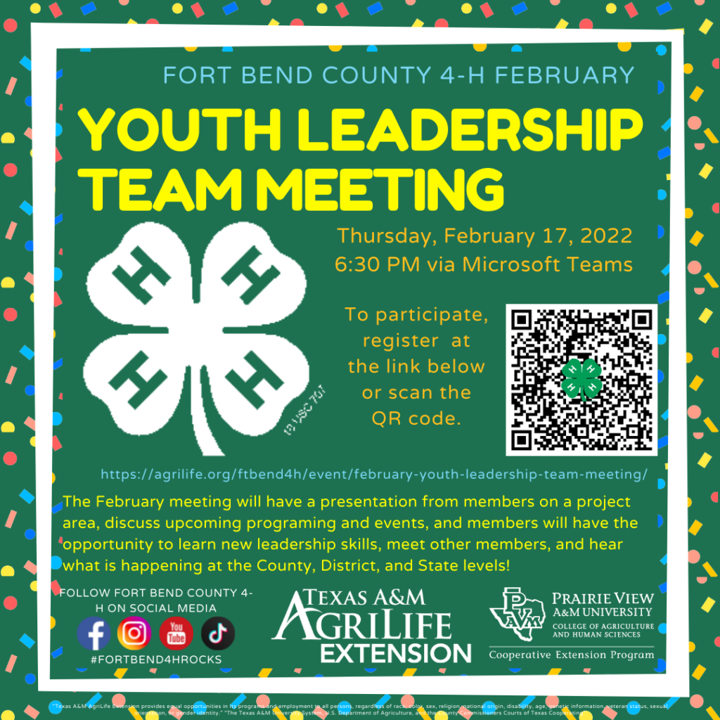 February 2022 Youth Leadership Team Meeting