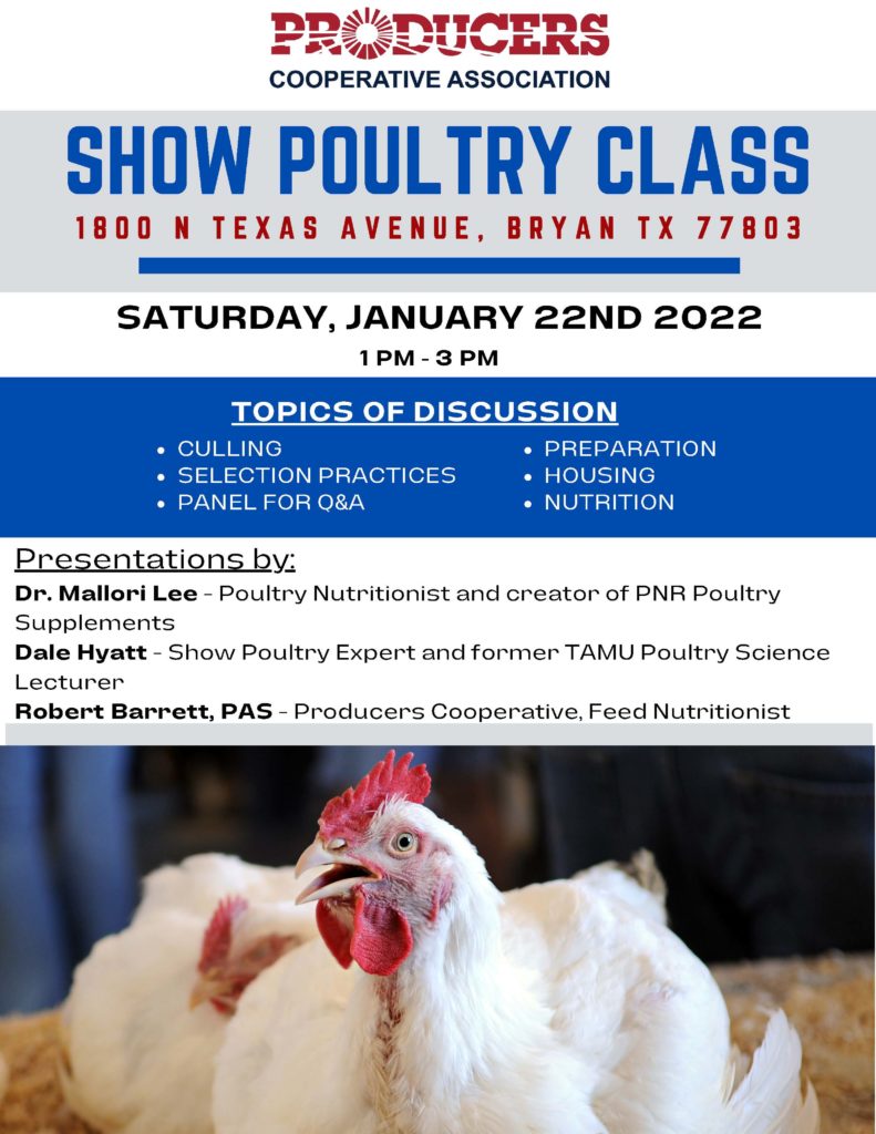 Producer’s Cooperative Association Show Poultry Class