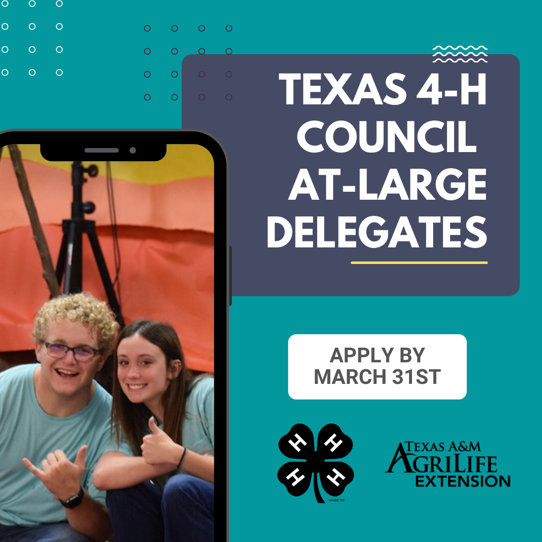 texas-4-h-council-at-large-application-deadline