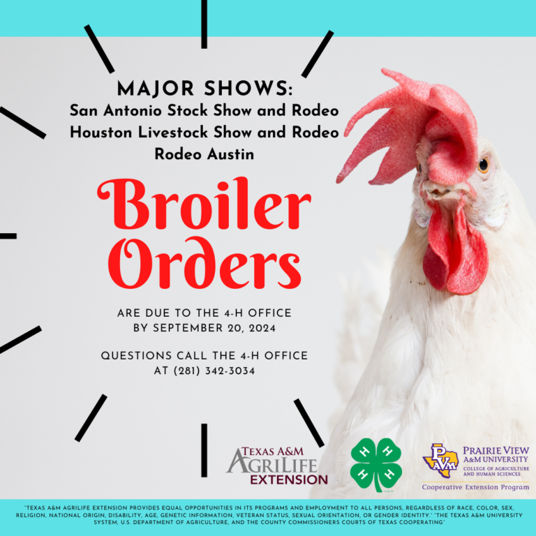 Major Show broiler order