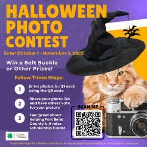 556785670_843289941593717_5042768680077004152_n