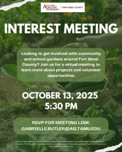 Interest Meeting flyer