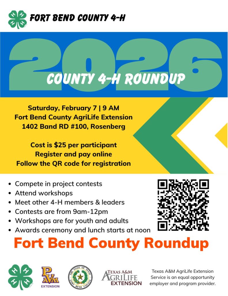 Fort Bend County 4-H. 2026 County 4-H Roundup. Date, Saturday, February 7th, 2026, 9 am. Location, Fort Bend County AgriLife Extension (1402 Band Rd, Suite 100; Rosenberg, TX 77471. Cost is $25 per participant. Register and pay online. Follow QR Code (bottom right of image) for registration. Compete in project contests, attend workshops, meet other 4-H members and leaders, Contests are from 9am-12pm. Workshops are for youth and adults. Awards ceremony and lunch starts at noon. Texas A&M AgriLife Extension Service is an equal opportunity employer and program provider.