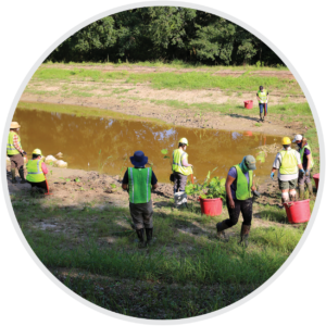 Green Infrastructure Projects, Houston Botanic Garden