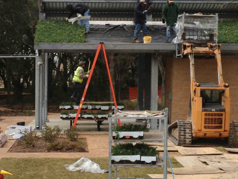 Green_Roof_Installation