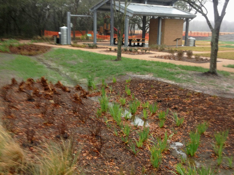 Rain_Garden_Large