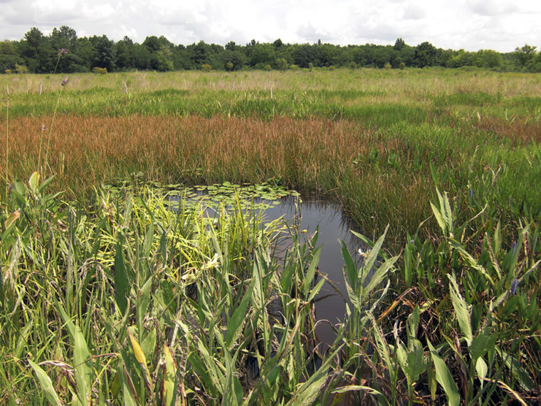 Sheldon_Lake_State_Park_07-08