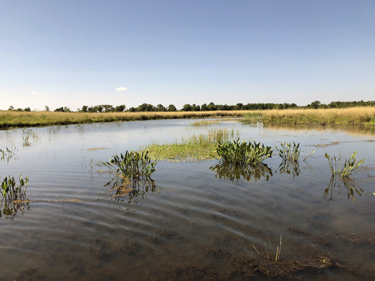 Sheldon_Lake_State_Park_Pond3