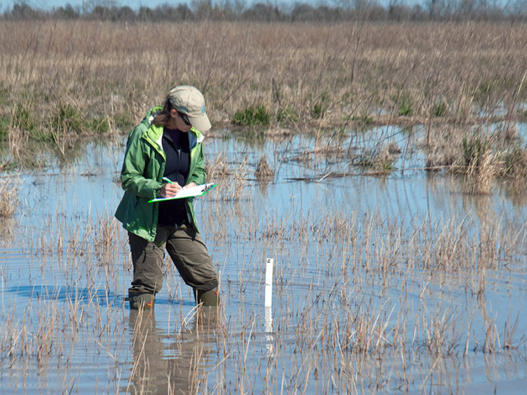 Sheldon_Lake_State_Park_Vegetation_Monitoring