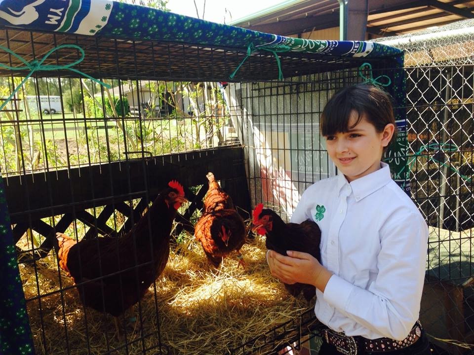 Poultry4H