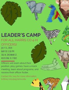 Leaders camp flyer